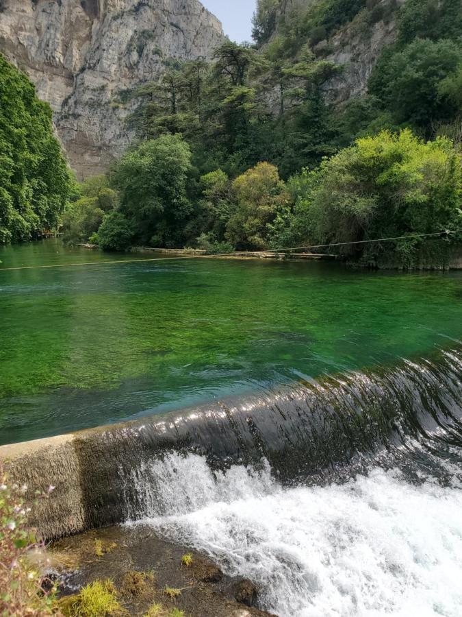 La Fontaine Au Loup Saint-Maurice-sur-Eygues Exterior foto